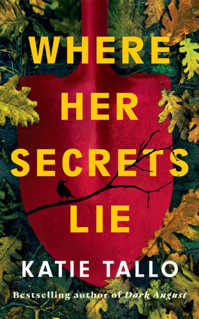 Where Her Secrets Lie - Katie Tallo