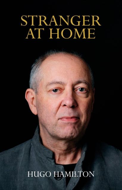 Stranger at Home - Hugo Hamilton