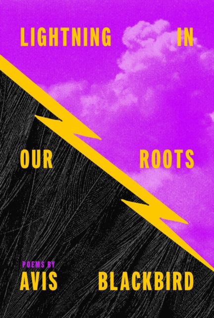 Lightning in Our Roots - Avis Blackbird