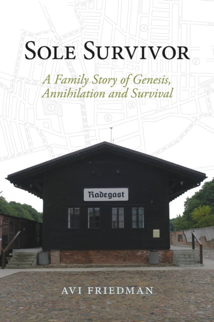 Sole Survivor : A Family Story of Genesis, Annihilation and Survival - Avi Friedman