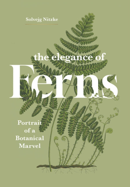 The Elegance of Ferns : Portrait of a Botanical Marvel - Solvejg Nitzke