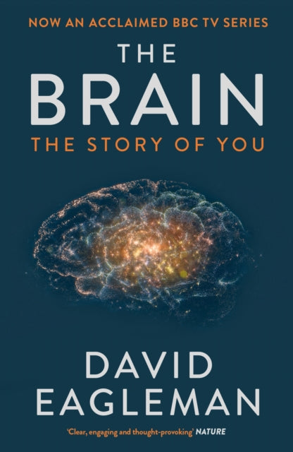 Front cover of The Brain by David Eagleman, paperback