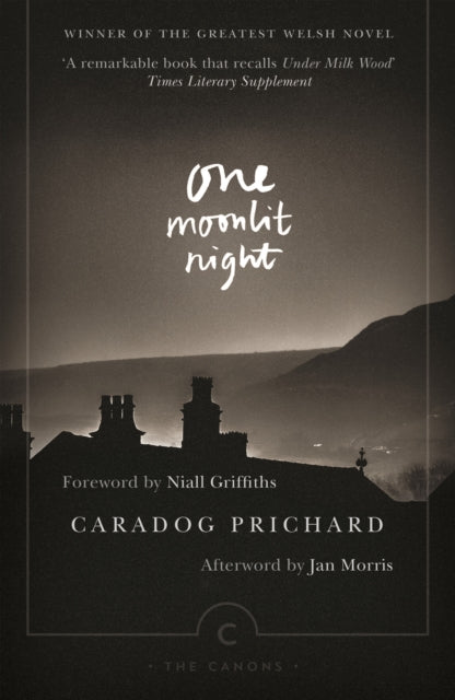 One Moonlit Night - Jan Morris