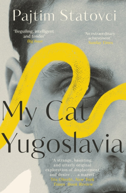 Front cover of My Cat Yugoslavia by David Hackston, paperback