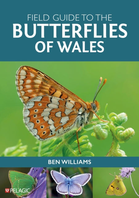 Field Guide to the Butterflies of Wales - Ben Williams