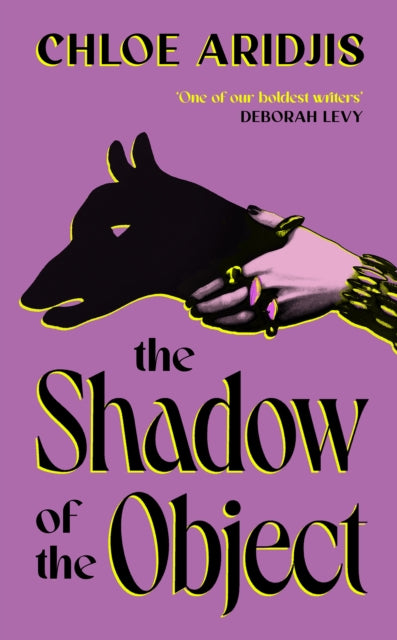 Front cover of The Shadow of the Object by Chloe Aridjis, hardback