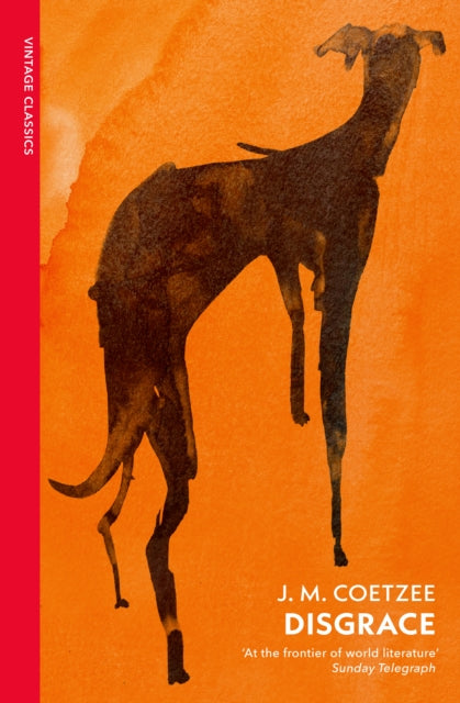 Disgrace : A BBC Radio 4 Good Read - J.M. Coetzee