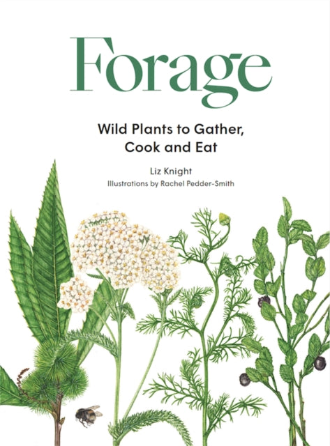 Forage : Wild plants to gather and eat - Liz Knight