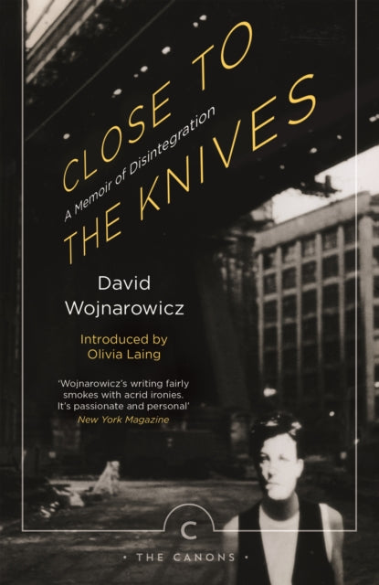 Close to the Knives : A Memoir of Disintegration - Olivia Laing