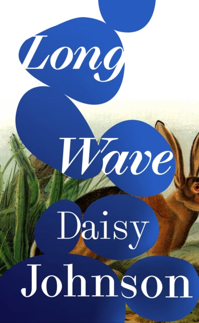 Front cover of Long Wave by Daisy Johnson, hardback