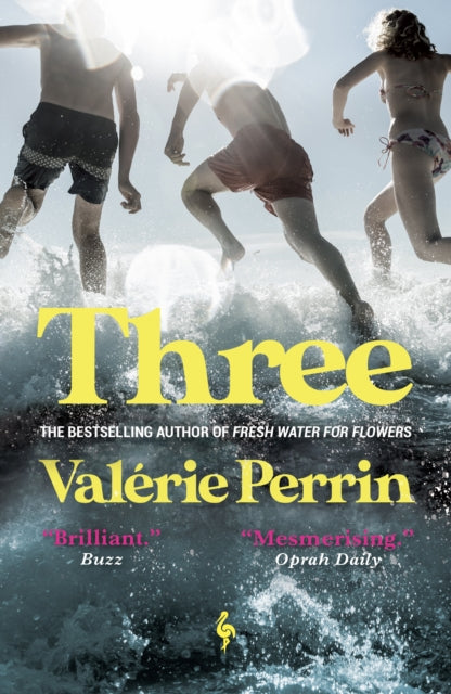 Three : From the bestselling author of Fresh Water for Flowers - Hildegarde Serle