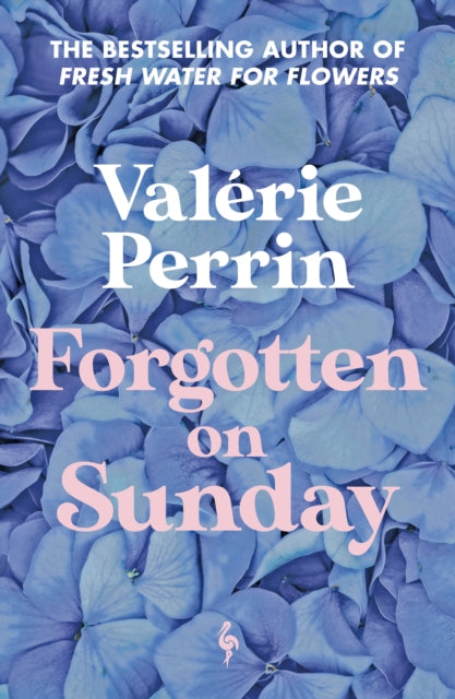 Forgotten on Sunday : From the million copy bestselling author of Fresh Water for Flowers - Hildegarde Serle