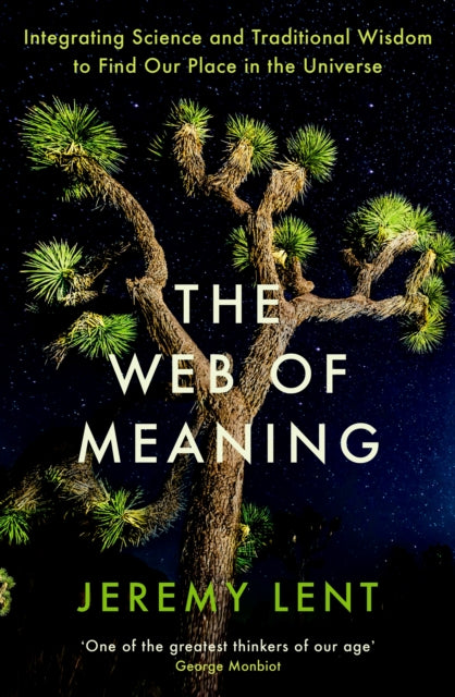 Front cover of The Web of Meaning by Jeremy Lent, paperback