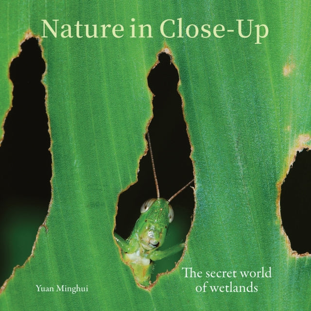 Nature in Close-Up : The secret world of wetlands - Yuan Minghui