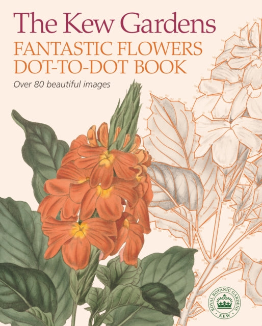 The Kew Gardens Fantastic Flowers Dot-to-Dot Book - David Woodroffe