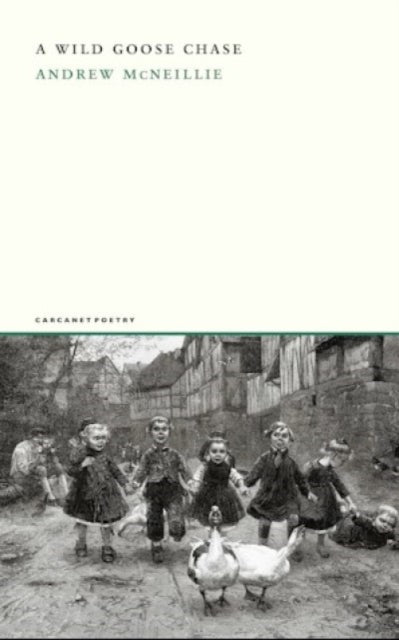 Front cover of A Wild Goose Chase by Andrew McNeillie, paperback