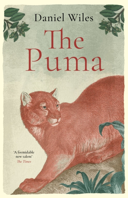 Front cover of The Puma by Daniel Wiles, hardback