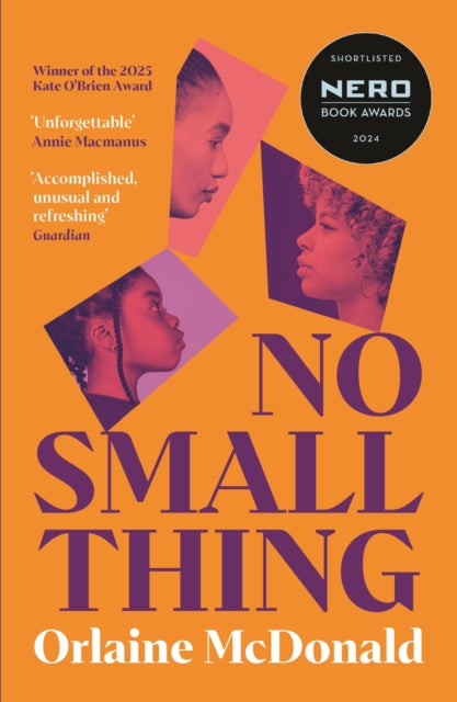 No Small Thing : 'One of the best debut novels I've read in recent years' Bernardine Evaristo - Orlaine McDonald