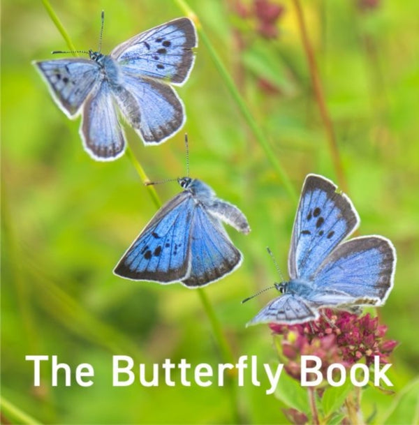 Nature Book Series: The Butterfly Book - Jane Russ