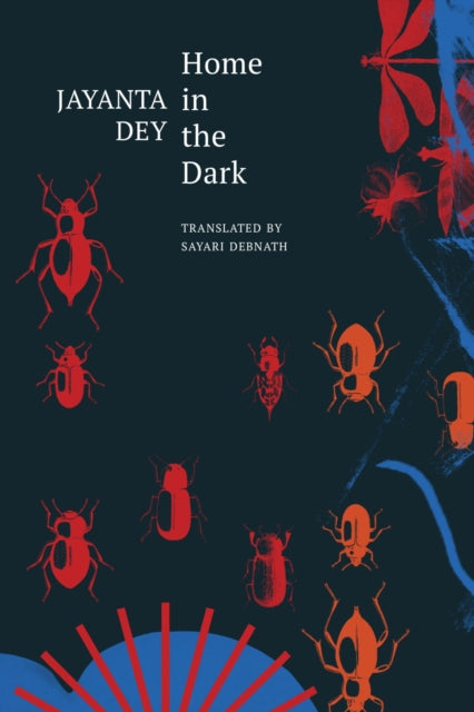 Home in the Dark : Selected Stories - Sayari Debnath
