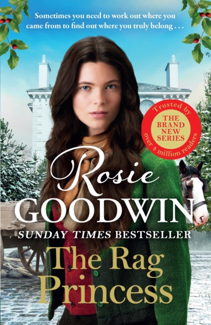 The Rag Princess : THE FIRST BOOK IN THE SUNDAY TIMES BESTSELLING RAGS TO RICHES SERIES - Rosie Goodwin