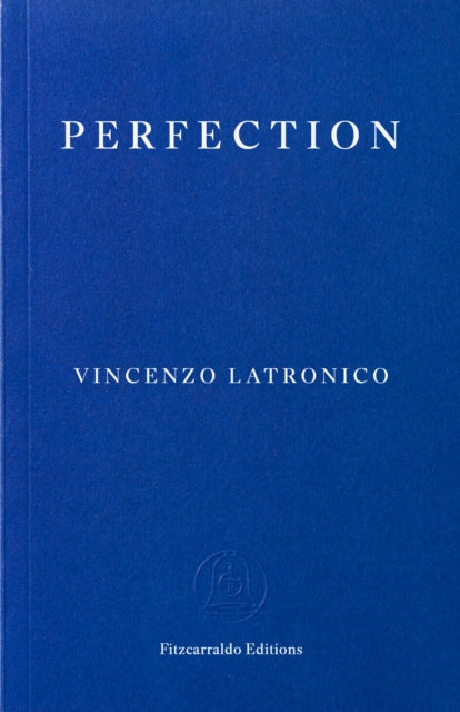 Front cover of Perfection by Vincenzo Latronico, paperback