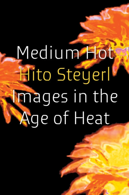 Medium Hot : Images in the Age of Heat - Hito Steyerl