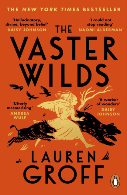 Front cover of The Vaster Wilds by Lauren Groff, paperback