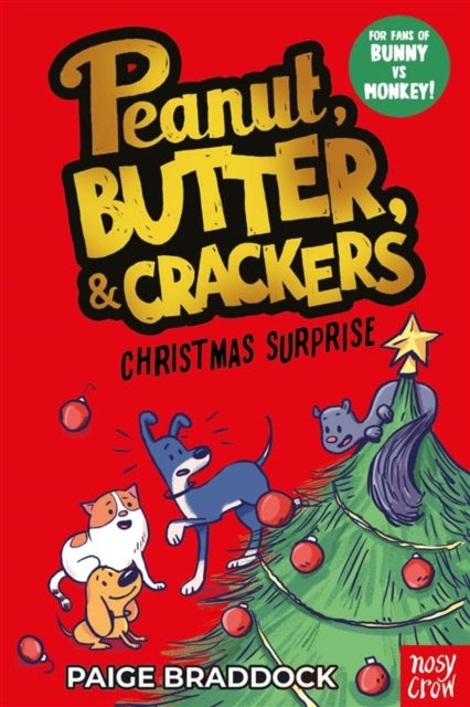 Christmas Surprise : A Peanut, Butter & Crackers story - Paige Braddock