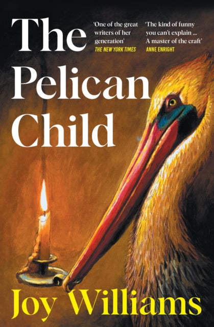 Front cover of The Pelican Child by Joy Williams, paperback