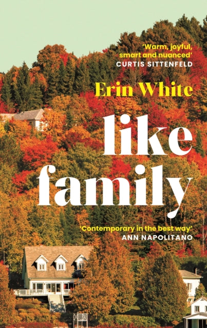 Front cover of Like Family by Erin White, paperback