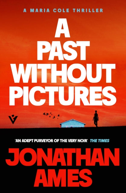 A Past Without Pictures : A Maria Cole Thriller - Jonathan Ames