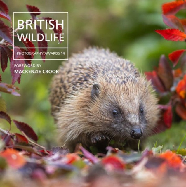 Front cover of British Wildlife Photography Awards 14 by Will Nicholls, hardback