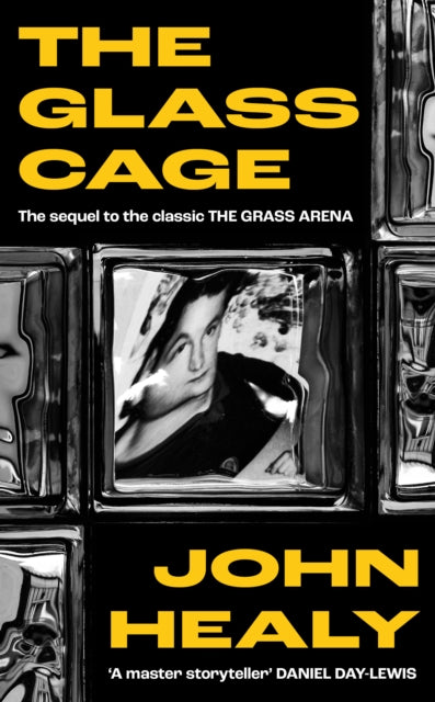The Glass Cage - John Healy