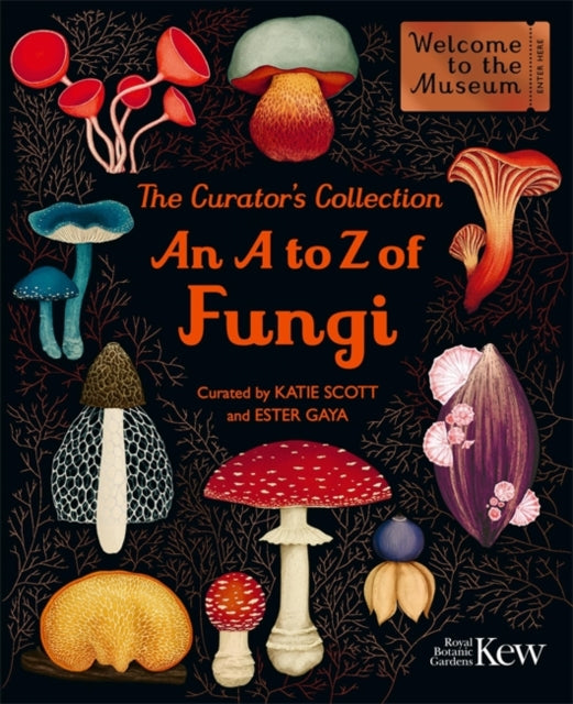 The Curator's Collection: An A to Z of Fungi : A pocket-sized Welcome to the Museum gift edition - Ester Gaya