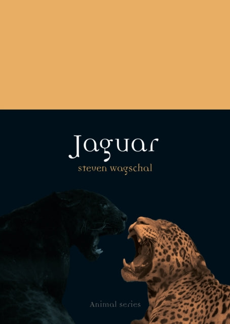 Jaguar - Steven Wagschal