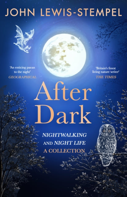 After Dark - John Lewis-Stempel