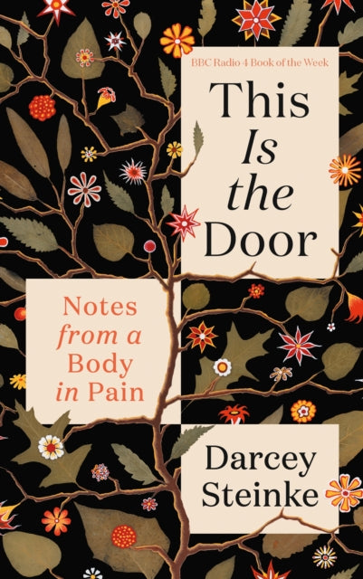 Front cover of This Is the Door by Darcey Steinke, hardback