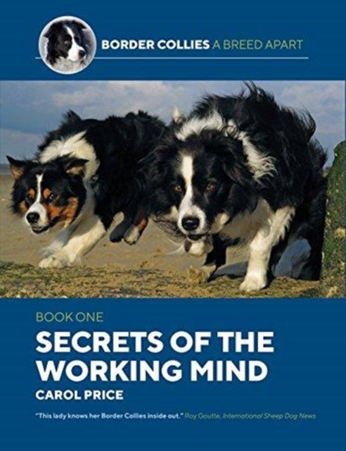 Secrets Of The Working Mind - Carol Price