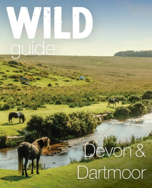 Wild Guide Devon & Dartmoor : Mini adventures, secret places & local food - Daniel Start