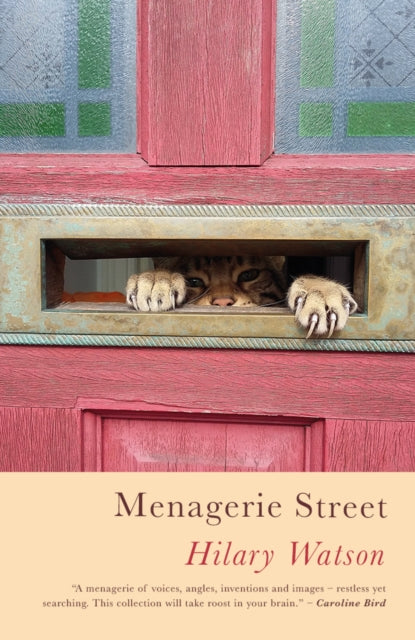 Front cover of Menagerie Street by Hilary Watson, paperback