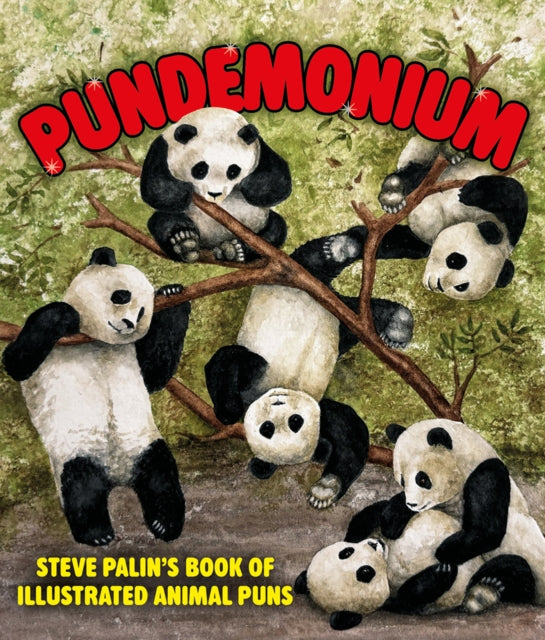 Front cover of Pundemonium by Steve Palin, hardback