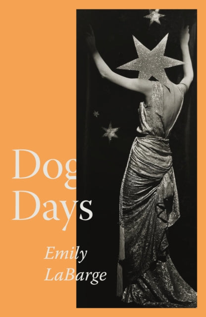 Front cover of Dog Days by Emily LaBarge, paperback