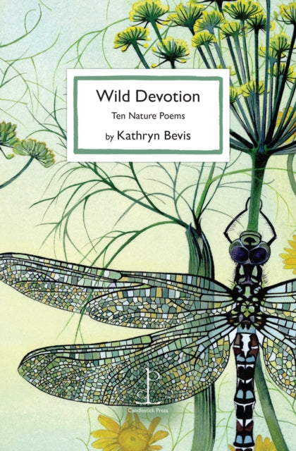 Front cover of Wild Devotion by Kathryn Bevis, paperback
