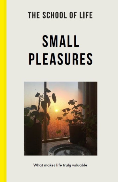 Front cover of Small Pleasures, paperback