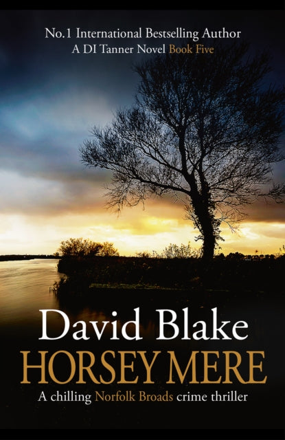 Front cover of Horsey Mere by David Blake, paperback