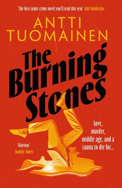 Front cover of The Burning Stones by David Hackston, paperback