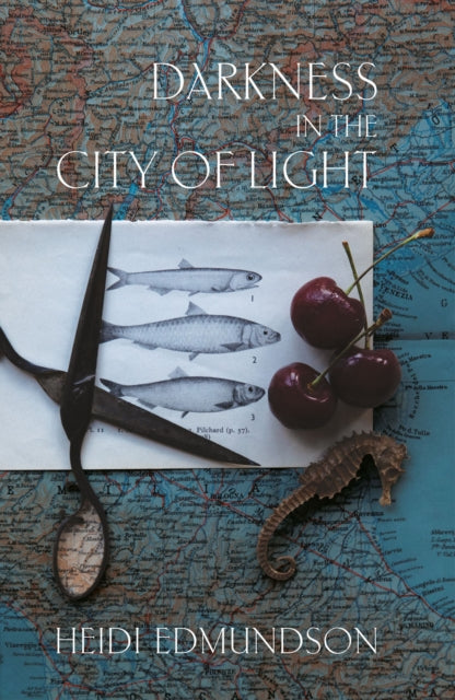 Front cover of Darkness in the City of Light by Heidi Edmundson, paperback