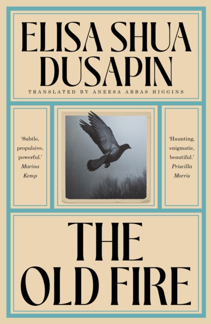Front cover of The Old Fire by Elisa Shua Dusapin, hardback