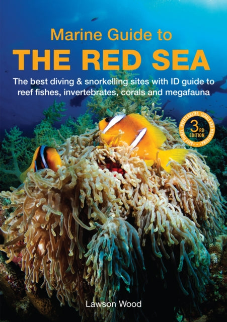 A Marine Guide to the Red Sea : The best diving & snorkelling sites, with ID guide to reef fishes, invertebrates, corals and megafauna - Lawson Wood